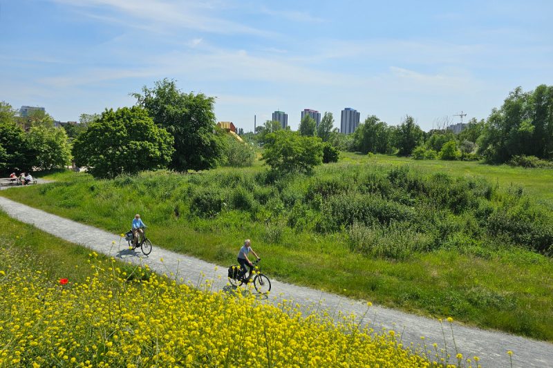antwerpen-stadsgids-rondleiding