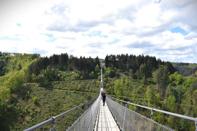 geierlay-hangbrug