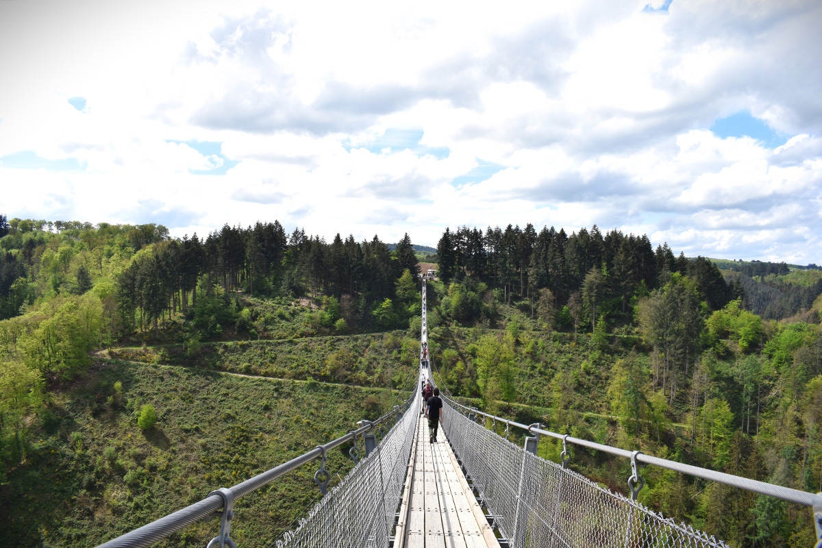 geierlay-hangbrug