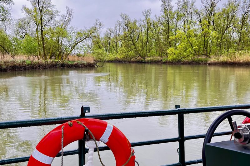 griendmuseumpad-biesbosch