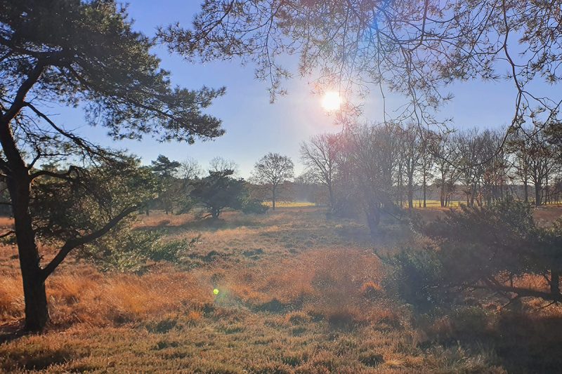 uffelter-binnenveld-wandeling-route