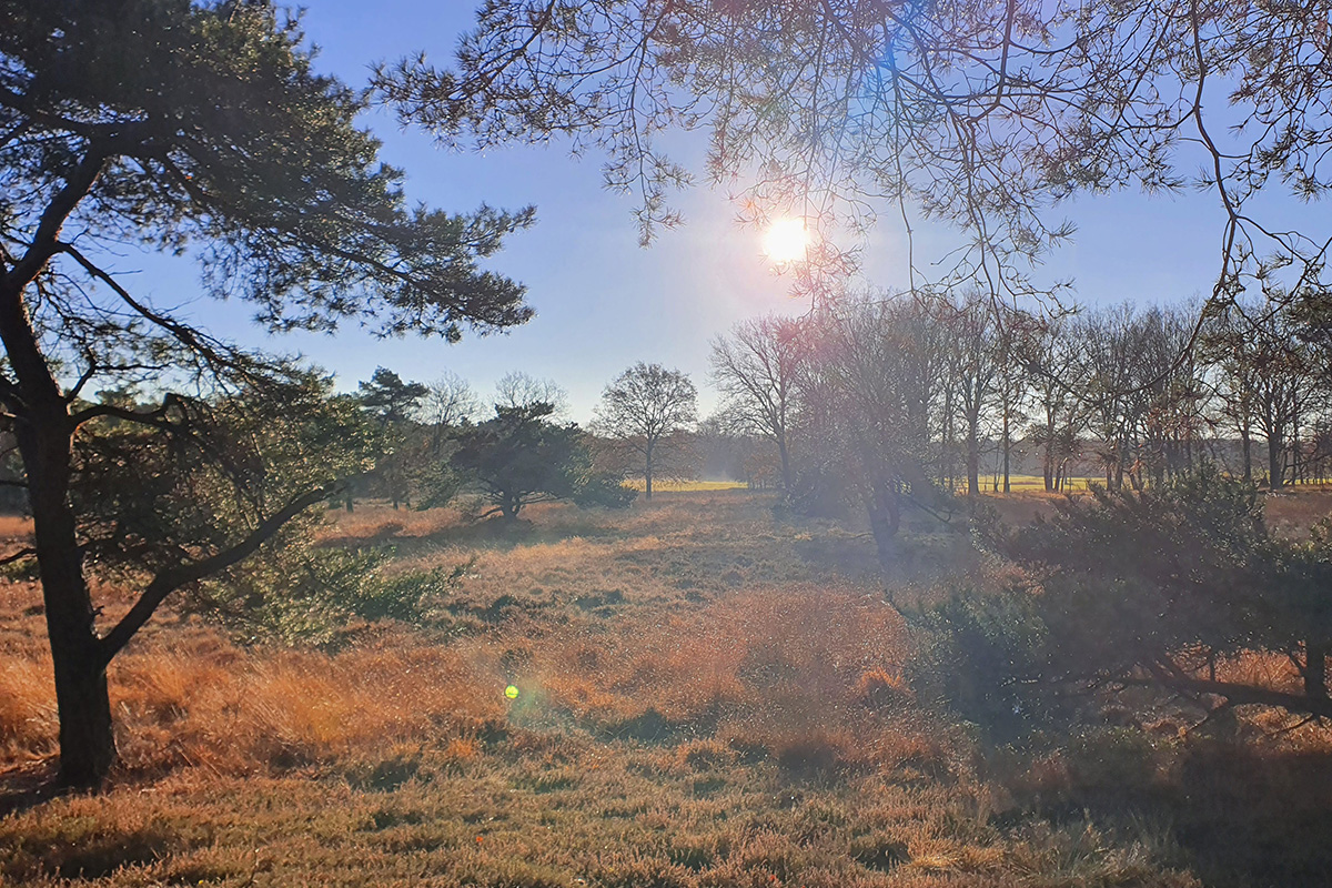 uffelter-binnenveld-wandeling-route