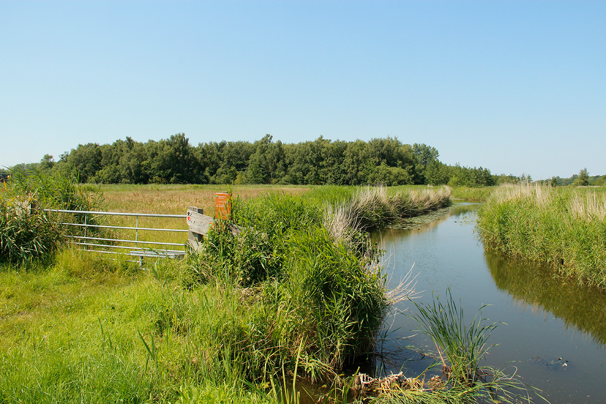 wandelroute-oude-gouwroute