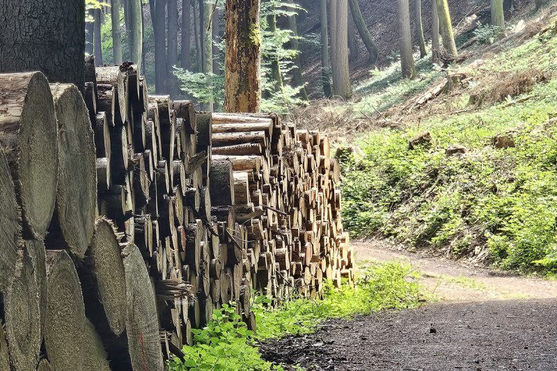 mueller-trail-luxemburg