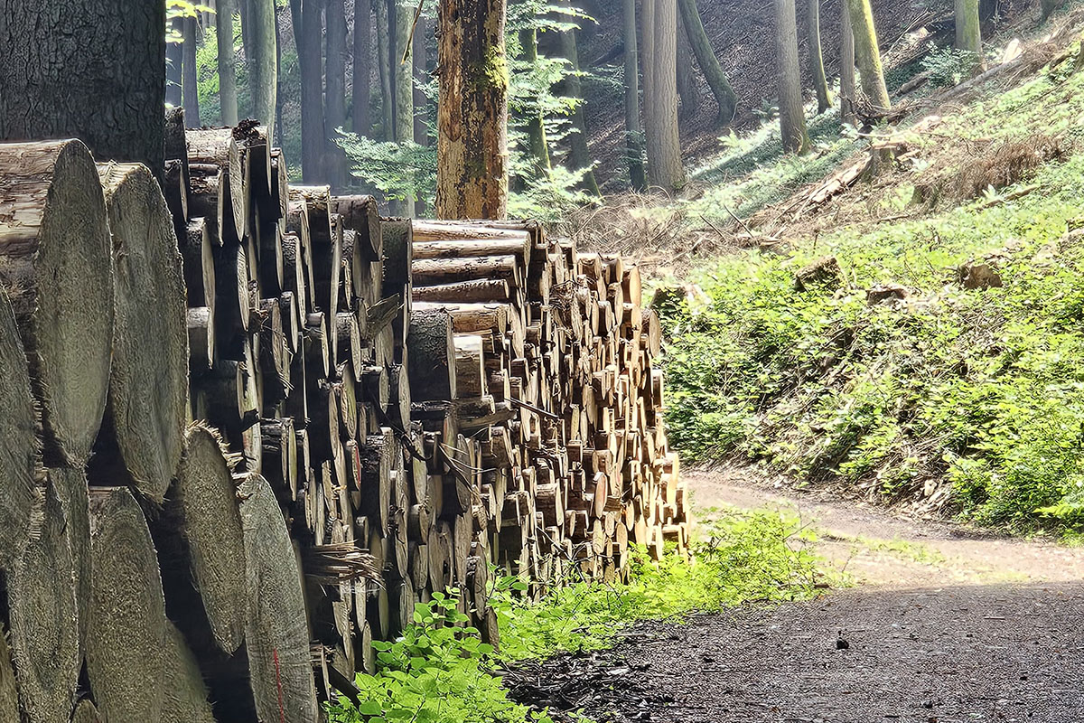 mueller-trail-luxemburg