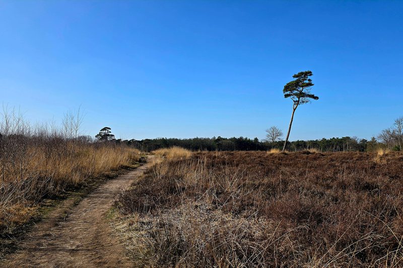 smokkelroute-strijbeek-ronde