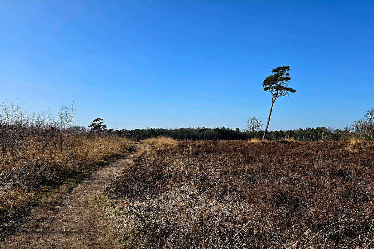 smokkelroute-strijbeek-ronde