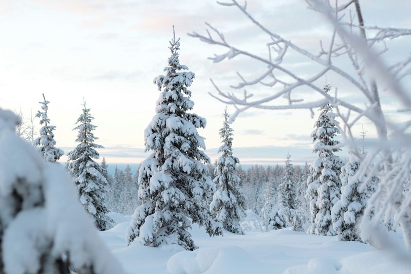 lapland-reis-5-dagen-tips