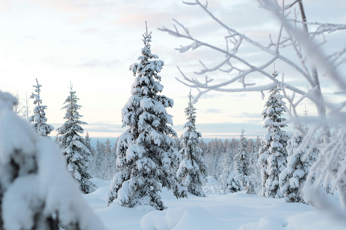 lapland-reis-5-dagen-tips