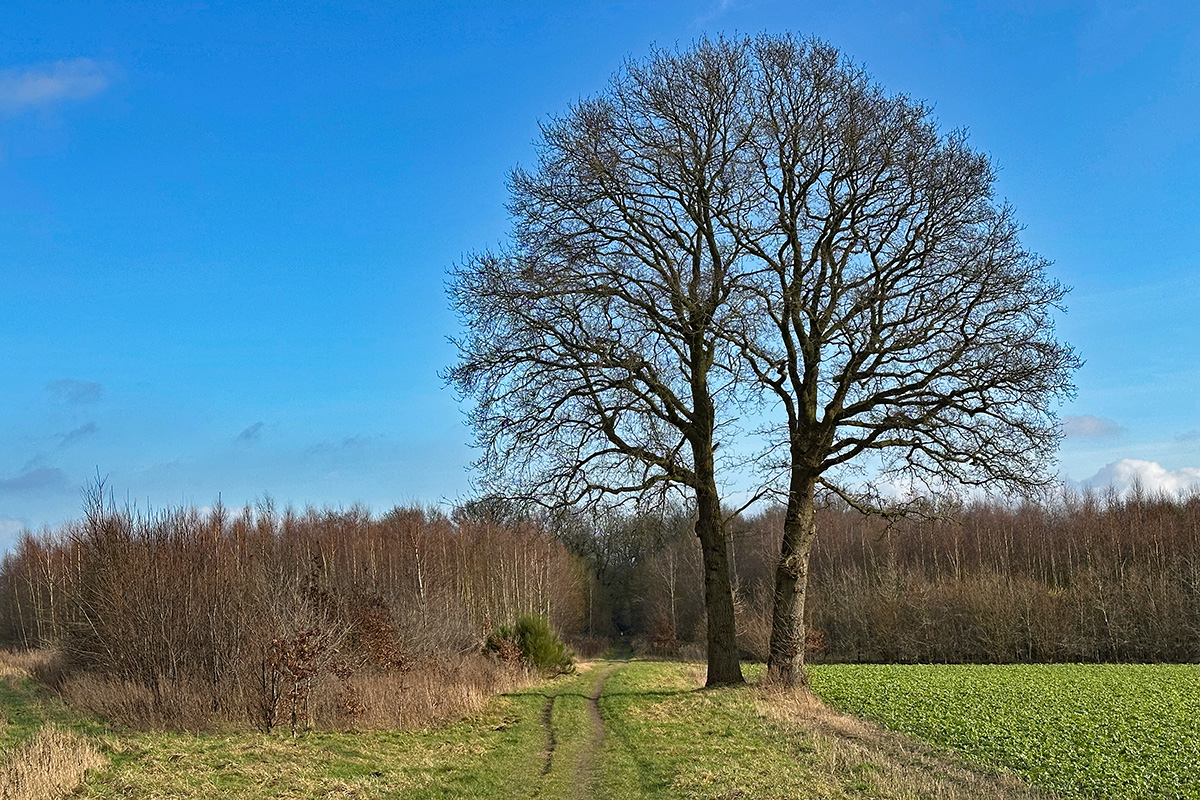 odoorn-drenthe-pelgrimspad