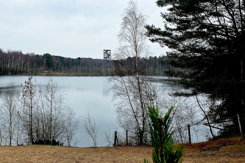 lommelse-sahara-wandeling